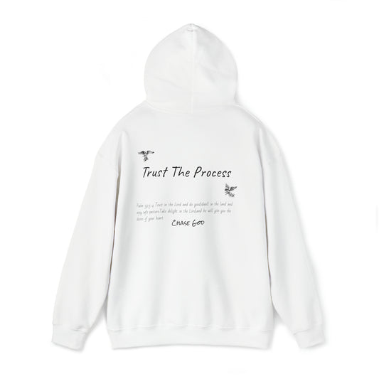 "TRUST THE PROCESS'' hoodie